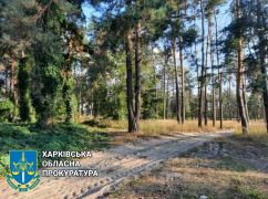 Будиночка в лісі не буде: Прокуратура на Харківщині вимагає повернути ділянку лісгоспу