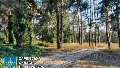 Будиночка в лісі не буде: Прокуратура на Харківщині вимагає повернути ділянку лісгоспу