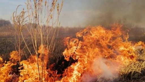 Из-за ракетного обстрела на Харьковщине горела лесопосадка