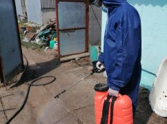 На Харьковщине из-за африканской чумы свиней ввели карантин: Кого касается