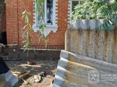 Синегубов рассказал, куда попали российские дроны в Харьковской области