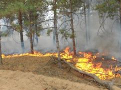 На Харківщині через ворожі обстріли загорівся ліс