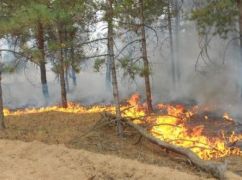 На Харьковщине из-за вражеских обстрелов загорелся лес