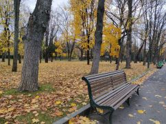 Пасмурно, но без осадков: Каким будет последний день октября в Харькове