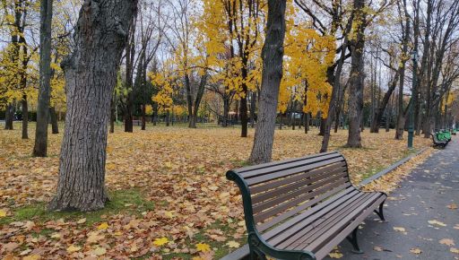 Пасмурно, но без осадков: Каким будет последний день октября в Харькове