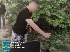 В Харькове турок чуть не убил прохожего за замечание: Приговор суда
