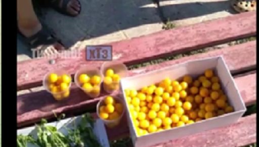 Дети Харькова продают зелень и сливы, чтобы помочь ВСУ: кадры очевидцев