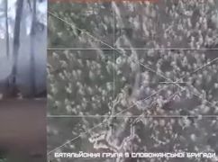 Харьковские гвардейцы показали, как сдерживают наступление оккупантов в лесу: Кадры с фронта