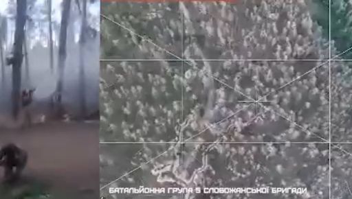 Харківські гвардійці показали, як стримують наступ окупантів у лісі: Кадри з фронту