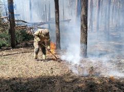 На Харківщині після російського обстрілу спалахнув ліс