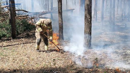 На Харьковщине после российского обстрела вспыхнул лес