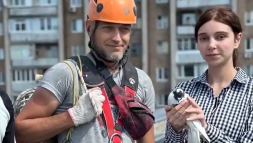 В Харькове альпинисты спасли застрявшую в окне птицу
