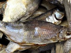В Харькове наказали предпринимателя, торговавшего рыбой с ботулизмом