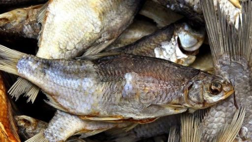 В Харькове наказали предпринимателя, торговавшего рыбой с ботулизмом