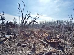 В Харьковской области экоинспекция обнародовала новые данные об убытках от войны