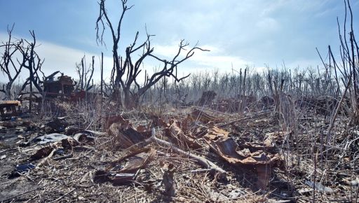 В Харьковской области экоинспекция обнародовала новые данные об убытках от войны