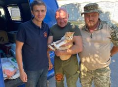 Українські захисники передали до Харкова врятованих з гарячої точки чотирилапих