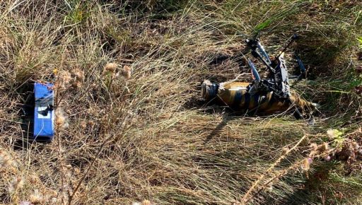На Харьковщине пограничники уничтожили "стаю" российских дронов