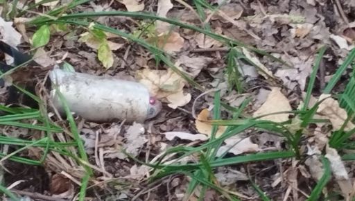 В лесу под Харьковом нашли боеприпас: Грибников призывают быть осторожными