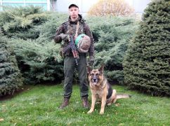 Много опасных находок: Чем отличился пес харьковской бригады НГУ, которого наградили медалью