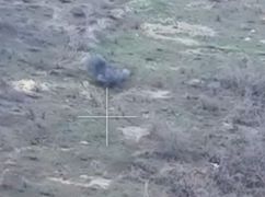 Українські захисники знищили російських піхотинців на Лимано-Куп’янському напрямку