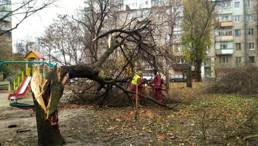 По Харькову прошелся ураган: Коммунальщики устраняют последствия