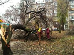 На Харьковщине объявили штормовое предупреждение