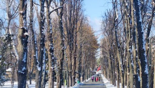 Снег и дождь: На Харьковщине прогнозируют значительные осадки