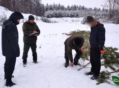 На Харківщині схопили крадія, який хотів у лісі нажитися під Новий рік