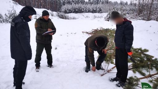 На Харківщині схопили крадія, який хотів у лісі нажитися під Новий рік