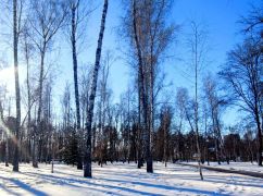 В Харькове будет держаться зимнее "потепление": Прогноз на 15 января