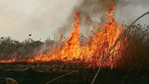 На Харьковщине от горящего сухостоя едва не загорелся дом