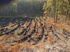 У Куп'янському лісгоспі розповіли, як окупанти знищують ліси на Харківщині