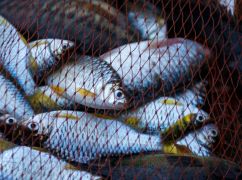 На Харківщині затримали двох рибалок-браконьєрів