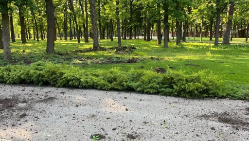Терехов показав наслідки "прильоту" в Центральному парку Харкова