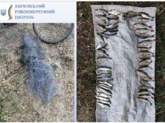 На Харківщині рибінспектори нарахували браконьєру за плотву та себелів 57 тис. грн