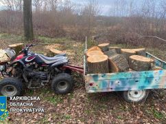 На Харківщині за незаконну порубку дерев судитимуть чоловіка