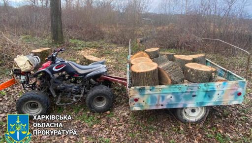 В Харьковской области за незаконную порубку деревьев будут судить мужчину