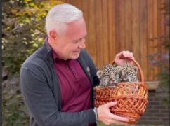 Терехов показав кошенят ягуара, які народилися в Харкові: Місто обиратиме клички
