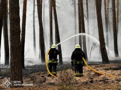 На Харківщині через лісову пожежу детонують боєприпаси