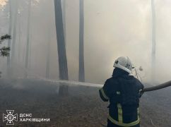 На Харківщині горять гектари лісу: Рятувальники звернулися до громадян