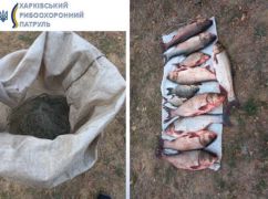 В Харьковской области браконьер наловил рыбы более чем на 33 тыс. грн
