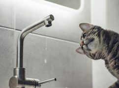 Харьковчан предупредили о длительном отключении воды