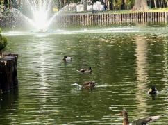Синоптики прогнозируют дождь в Харькове 13 октября
