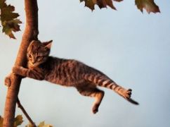 На Харківщині оголосили штормове попередження 5 березня