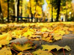 Прогноз погоди у Харкові на 27 жовтня
