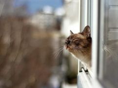Стало известно, какой погоды ждать в первую осеннюю субботу на Харьковщине