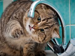 Добу без води: Частині Харкова перекриють водопостачання