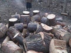 Харківщині бракує грошей на закупівлю дров: Кабмін виділив додаткову субвенцію