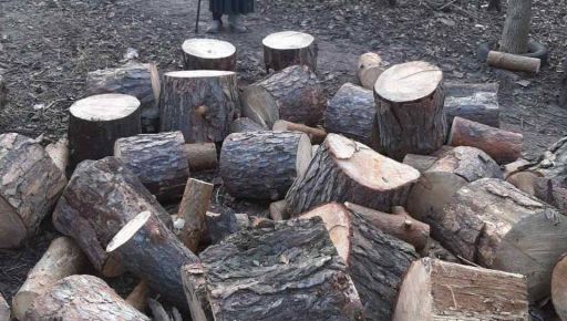 Харківщині бракує грошей на закупівлю дров: Кабмін виділив додаткову субвенцію